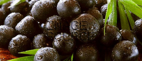 Acai - some facts