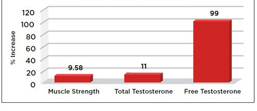 Testo+ vil gi deg økt styrke og normale testosteronnivåer