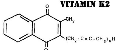 Vitamin K2 - Crucial For Bone Health