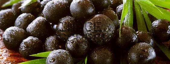 Acai - some facts