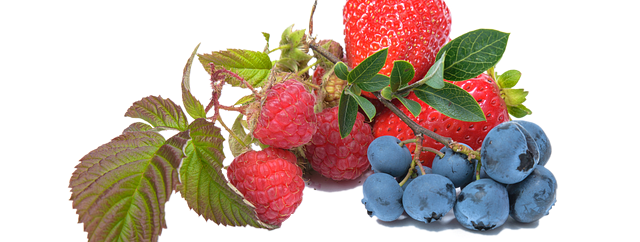 Tilskudd med antocyaner fra bær gunstig for hjertet, blodsukkeret og oksidativ stress